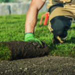 Photo of man laying sod down