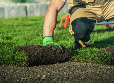 Photo of man laying sod down