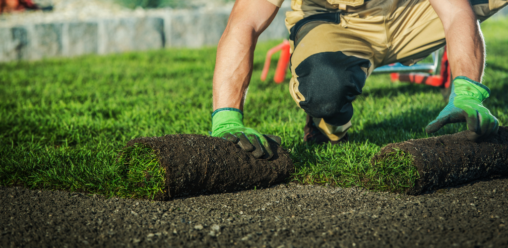 Photo of man laying sod down
