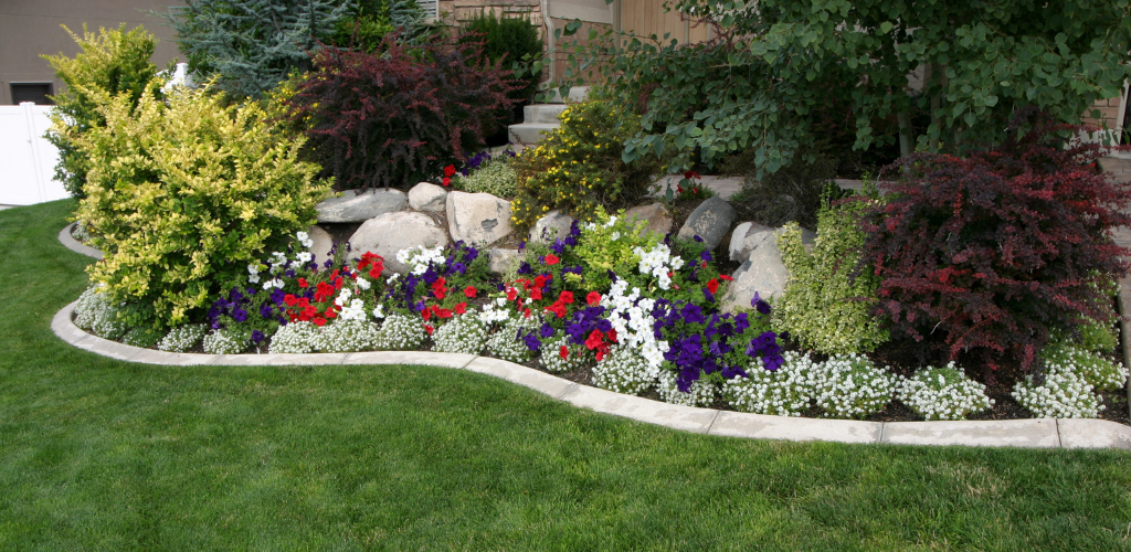 Overhead shot of red, purple and white flower beds