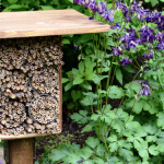 Photo of a bee habitat on a post