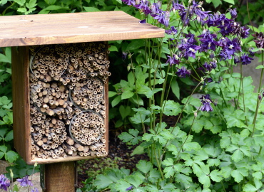 Photo of a bee habitat on a post