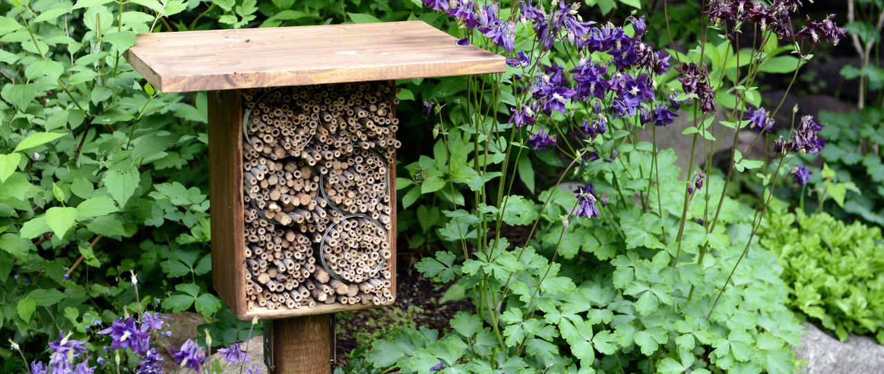 Photo of a bee habitat on a post
