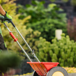 Photo of a lawn fertilizer getting pushed on grass