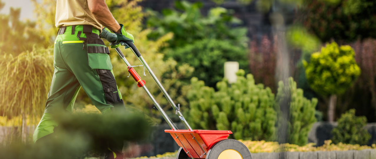 Photo of a lawn fertilizer getting pushed on grass